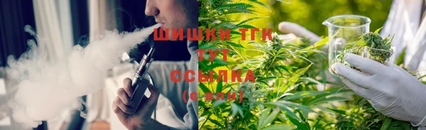 мдпв Мегион
