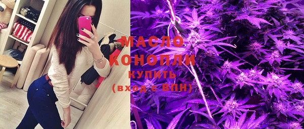 молекула духа Медногорск