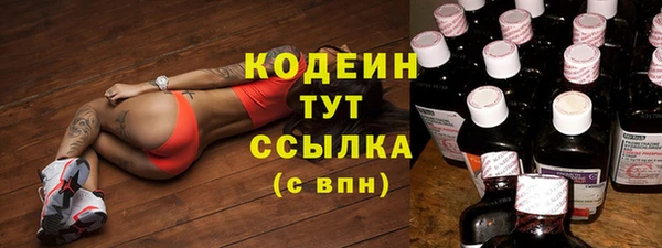 молекула духа Медногорск