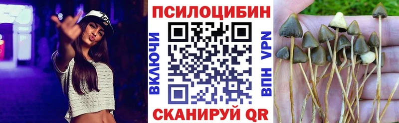 Псилоцибиновые грибы мицелий  закладка  Чайковский 