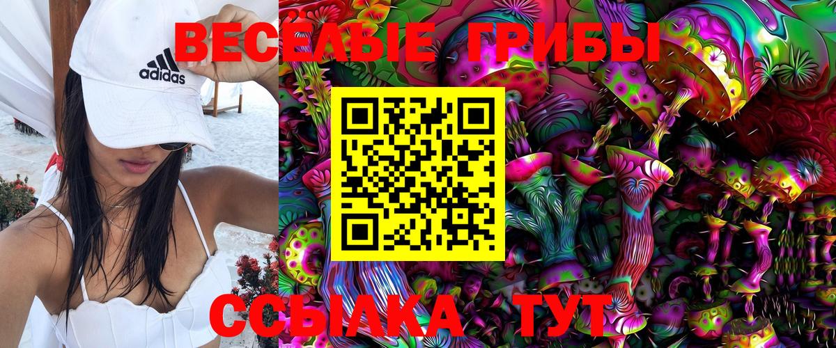 Галлюциногенные грибы прущие грибы  Чайковский  Псилоцибиновые грибы Magic Shrooms 