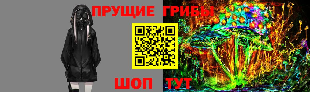 Галлюциногенные грибы Cubensis Чайковский