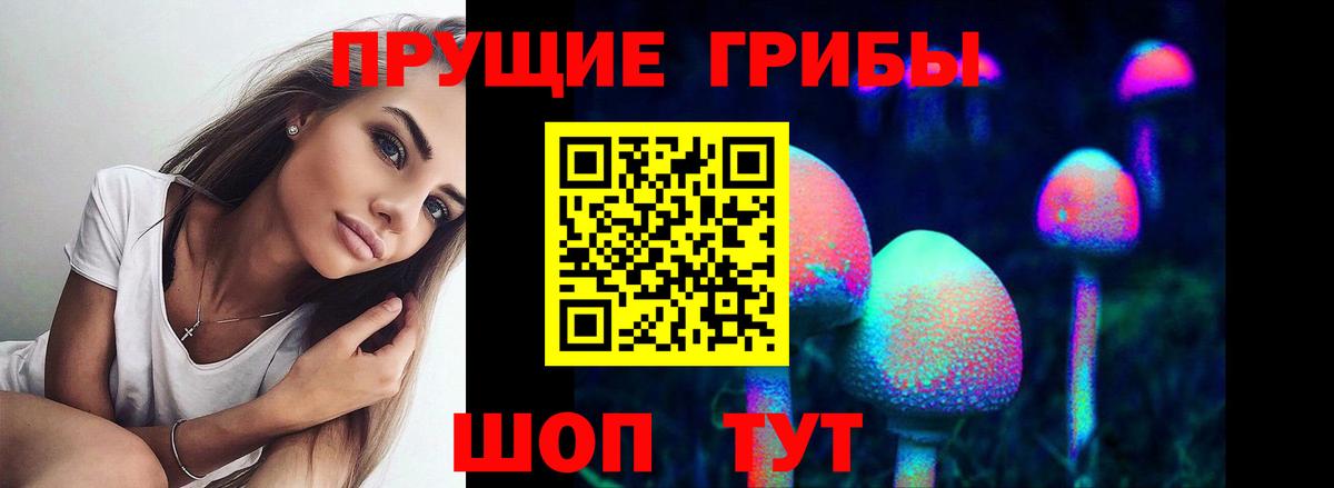 Псилоцибиновые грибы ЛСД  цена наркотик  Чайковский  Галлюциногенные грибы ЛСД  Вход с VPN 